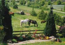 Der Reitplatz und im Hintergrund einer der Koppeln