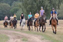 Galopp